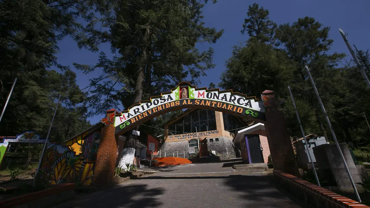 santuario el rosario mariposa monarca-IAV-2